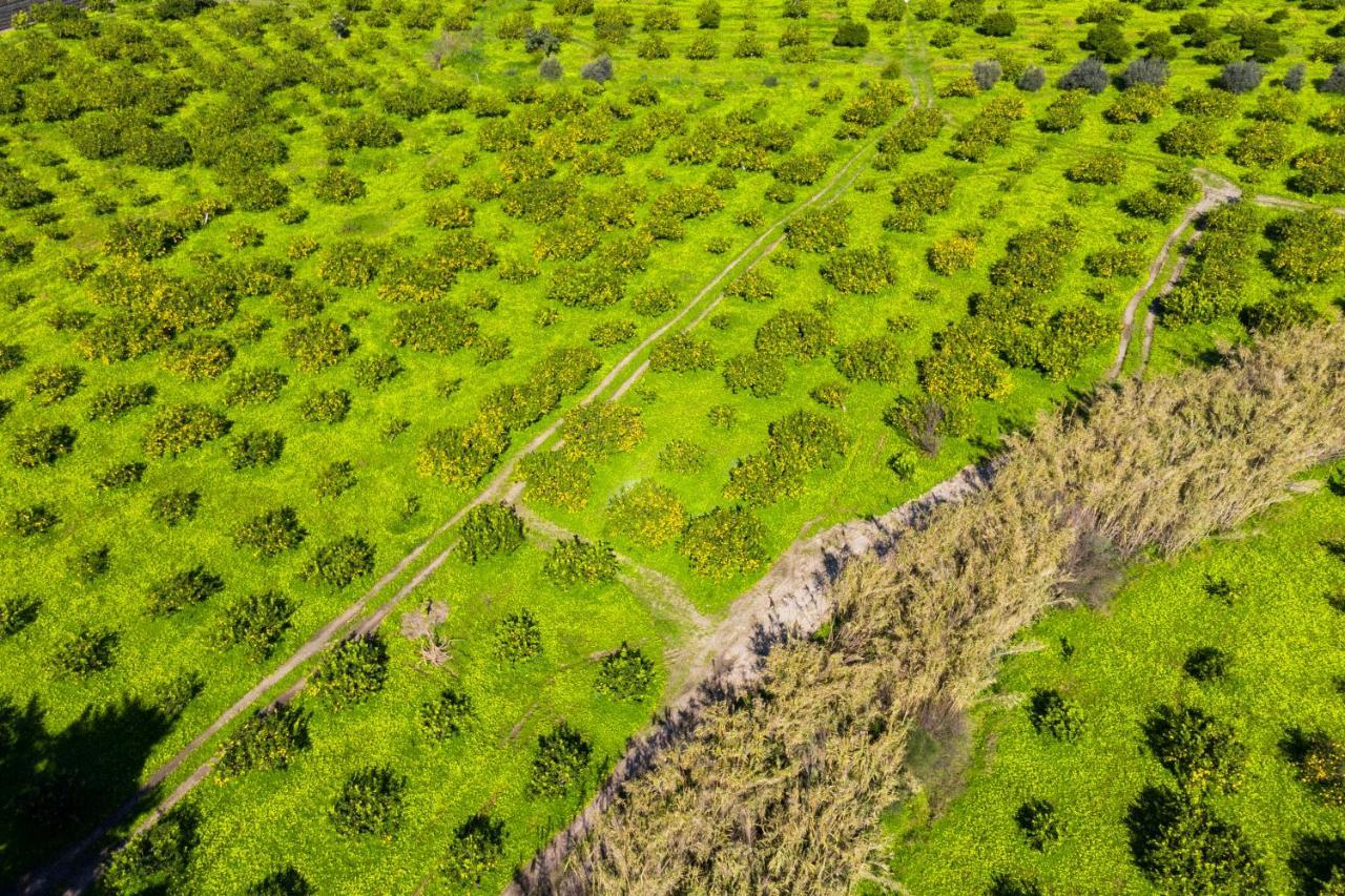 Bioagriturismo Antica Sena Milici Zewnętrze zdjęcie
