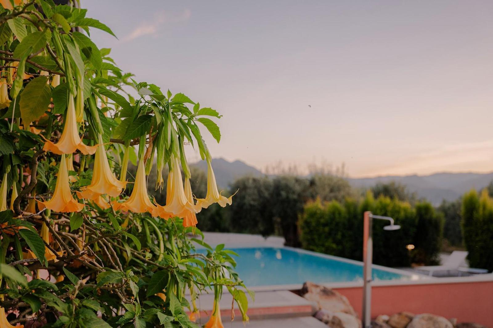 Bioagriturismo Antica Sena Milici Zewnętrze zdjęcie